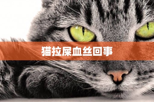貓拉屎血絲回事