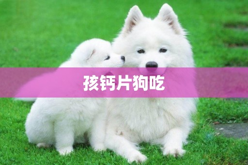 孩鈣片狗吃