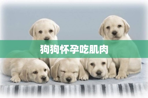 狗狗懷孕吃肌肉