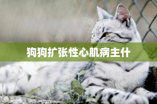 狗狗擴張性心肌病主什