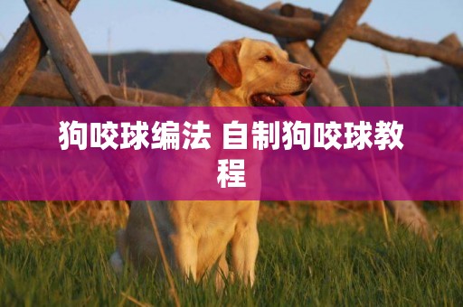 狗咬球編法 自制狗咬球教程