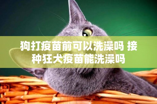狗打疫苗前可以洗澡嗎 接種狂犬疫苗能洗澡嗎