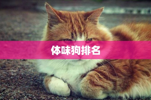 體味狗排名