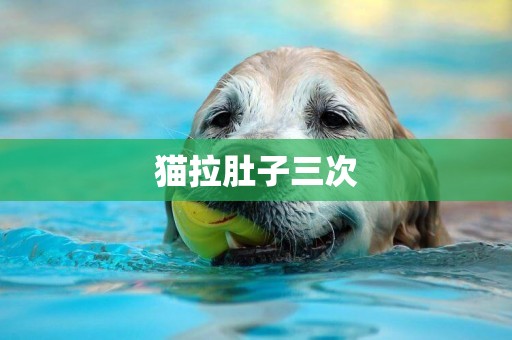 貓拉肚子三次
