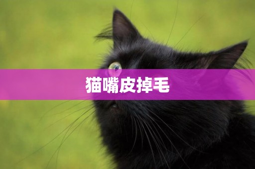 貓嘴皮掉毛