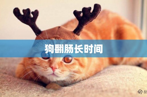 狗翻腸長時間