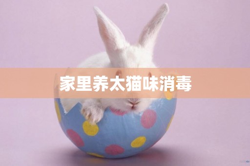 家里養太貓味消毒
