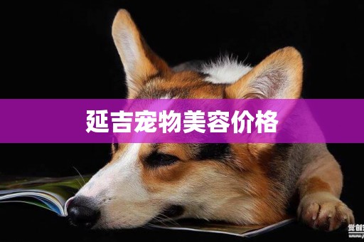 延吉寵物美容價格