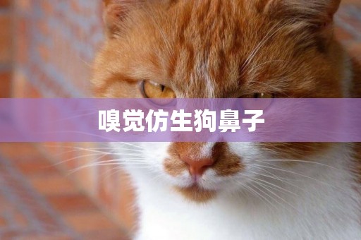 嗅覺仿生狗鼻子