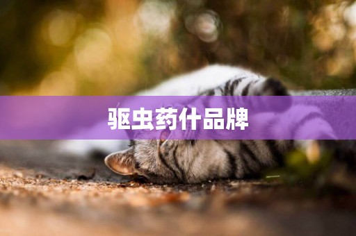 驅蟲藥什品牌