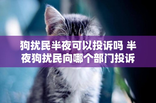 狗擾民半夜可以投訴嗎 半夜狗擾民向哪個部門投訴