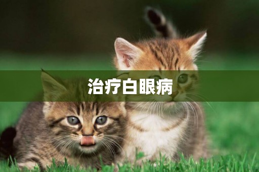 治療白眼病
