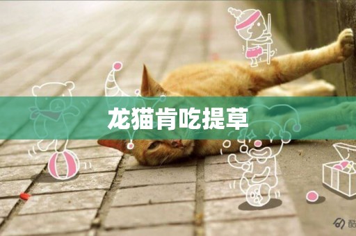 龍貓肯吃提草