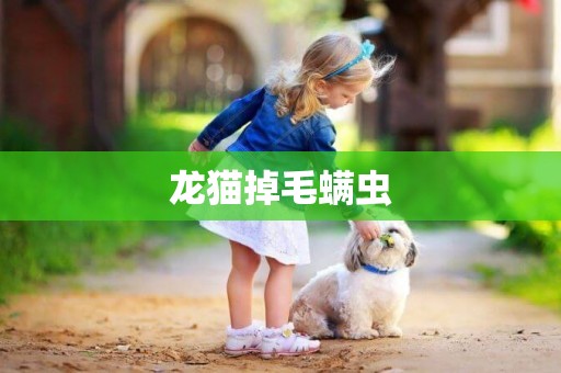 龍貓掉毛螨蟲