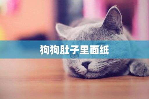 狗狗肚子里面紙