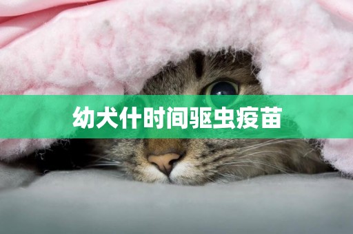 幼犬什時間驅蟲疫苗