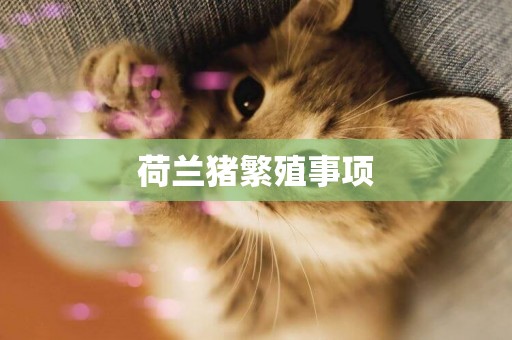荷蘭豬繁殖事項