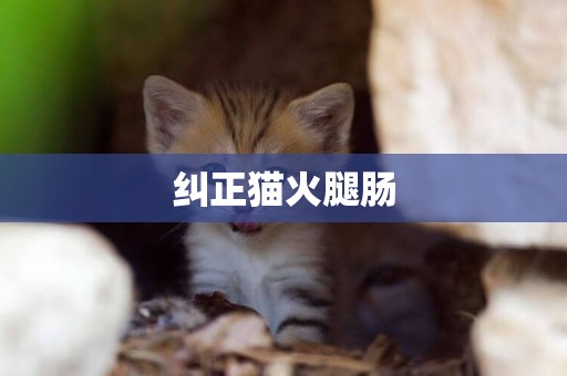 糾正貓火腿腸