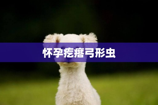 懷孕疙瘩弓形蟲