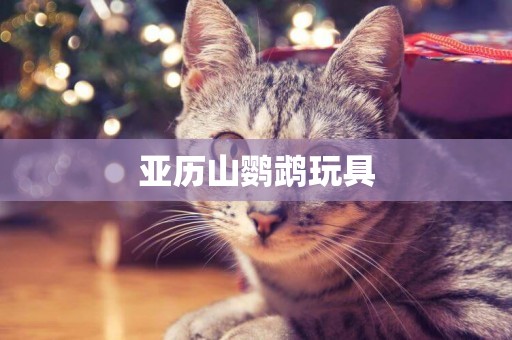 亞歷山鸚鵡玩具