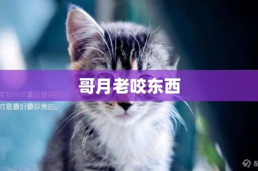 哥月老咬東西