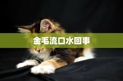 金毛流口水回事