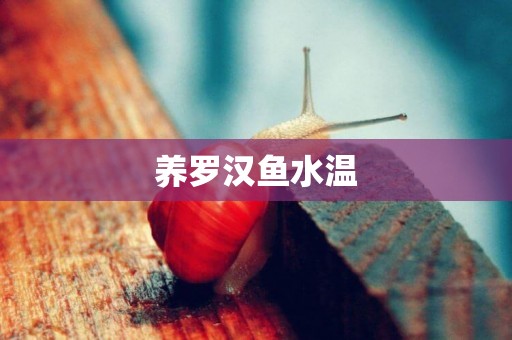 養羅漢魚水溫