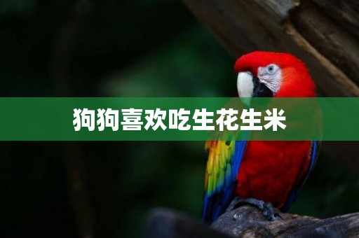 狗狗喜歡吃生花生米