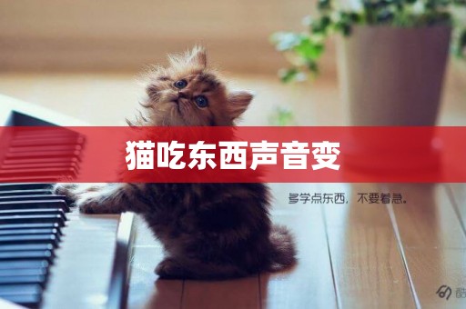 貓吃東西聲音變