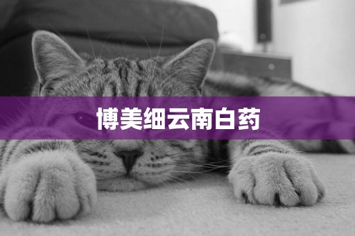 博美細云南白藥