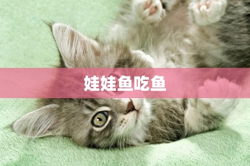 娃娃魚吃魚