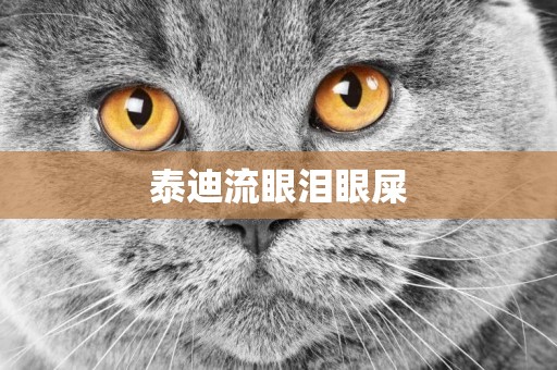 泰迪流眼淚眼屎