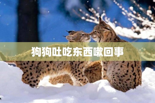 狗狗吐吃東西嗽回事