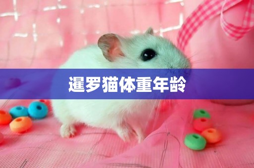 暹羅貓體重年齡
