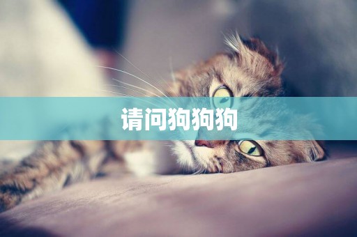 請問狗狗狗