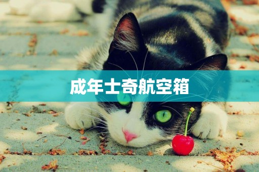 成年士奇航空箱
