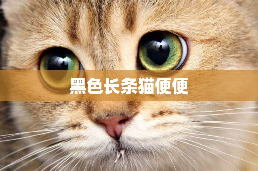 黑色長條貓便便