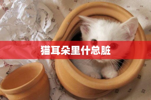 貓耳朵里什總臟