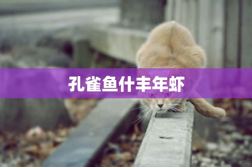 孔雀魚什豐年蝦