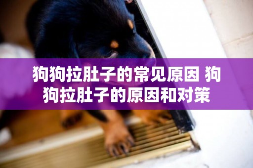 狗狗拉肚子的常見原因 狗狗拉肚子的原因和對策