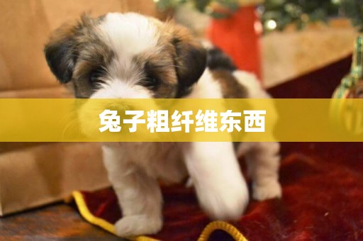兔子粗纖維東西