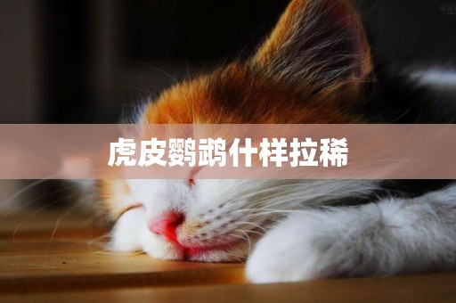 虎皮鸚鵡什樣拉稀