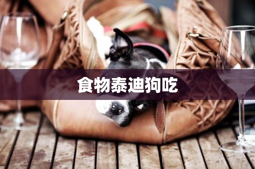 食物泰迪狗吃