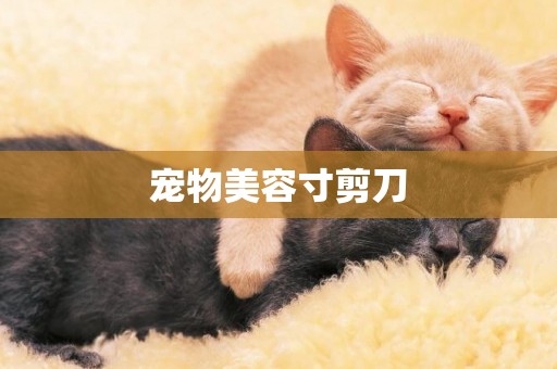 寵物美容寸剪刀