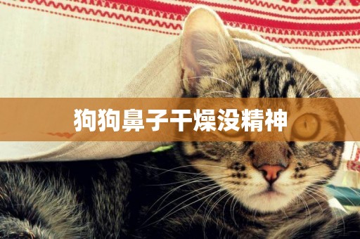 狗狗鼻子干燥沒精神