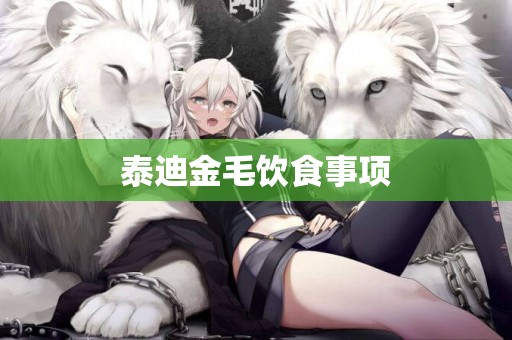 泰迪金毛飲食事項