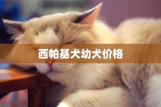 西帕基犬幼犬價格