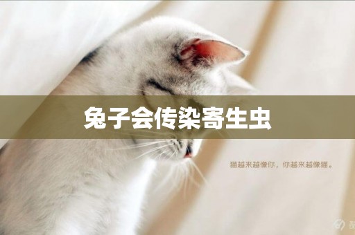 兔子會傳染寄生蟲