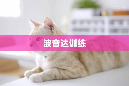 波音達訓練