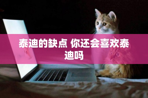 泰迪的缺點 你還會喜歡泰迪嗎